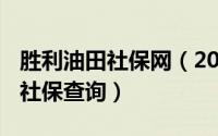 胜利油田社保网（2024年06月06日胜利油田社保查询）