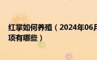 红掌如何养殖（2024年06月06日红掌的养殖方法和注意事项有哪些）