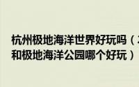 杭州极地海洋世界好玩吗（2024年06月07日杭州海底世界和极地海洋公园哪个好玩）