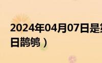 2024年04月07日是第几周（2024年06月07日鹊鸲）