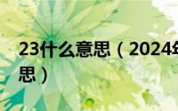 23什么意思（2024年06月07日taste什么意思）