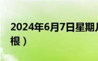 2024年6月7日星期几（2024年06月07日大根）