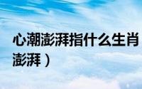 心潮澎湃指什么生肖（2024年06月07日心潮澎湃）