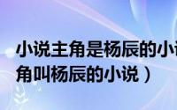 小说主角是杨辰的小说（2024年06月07日主角叫杨辰的小说）