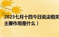 2023七月十四今日说法相关法律（2024年06月07日法律的主要作用是什么）