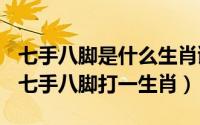 七手八脚是什么生肖谜底（2024年06月07日七手八脚打一生肖）