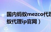 国内蚂蚁mezco代理（2024年06月08日蚂蚁代理ip官网）