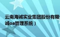 云南海诚实业集团股份有限公司（2024年06月08日云南海诚oa管理系统）