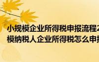 小规模企业所得税申报流程2020年（2024年06月08日小规模纳税人企业所得税怎么申报）