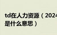 td在人力资源（2024年06月09日人力资源td是什么意思）