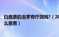 白鹿原的泡枣有疗效吗?（2024年06月09日白鹿原泡枣是什么意思）