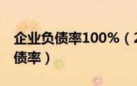 企业负债率100%（2024年06月09日企业负债率）