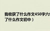 我收获了什么作文450字六年级（2024年06月09日我收获了什么作文初中）