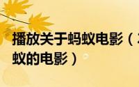 播放关于蚂蚁电影（2024年06月09日关于蚂蚁的电影）