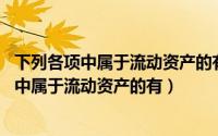 下列各项中属于流动资产的有?（2024年06月09日下列各项中属于流动资产的有）