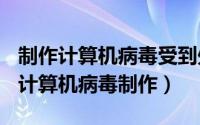 制作计算机病毒受到处罚（2024年06月09日计算机病毒制作）