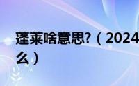 蓬莱啥意思?（2024年06月09日蓬莱乳是什么）