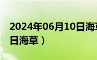 2024年06月10日海草行情（2024年06月10日海草）