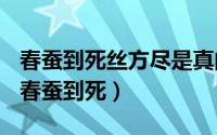 春蚕到死丝方尽是真的吗（2024年06月10日春蚕到死）