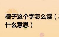 楔子这个字怎么读（2024年06月10日楔子是什么意思）