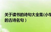 关于读书的诗句大全集(小学)（2024年06月10日关于读书的古诗名句）