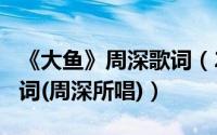 《大鱼》周深歌词（2024年06月10日大鱼歌词(周深所唱)）