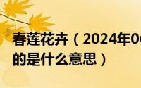 春莲花卉（2024年06月10日春莲这个名字指的是什么意思）