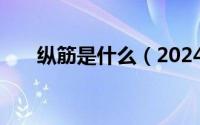 纵筋是什么（2024年06月10日纵筋）