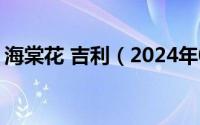 海棠花 吉利（2024年06月11日海棠花花语）