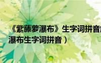 《紫藤萝瀑布》生字词拼音解释（2024年06月11日紫藤萝瀑布生字词拼音）