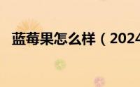 蓝莓果怎么样（2024年06月11日蓝莓果）