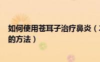 如何使用苍耳子治疗鼻炎（2024年06月11日苍耳子治鼻炎的方法）