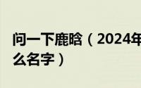 问一下鹿晗（2024年06月11日鹿晗原名叫什么名字）