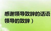 感谢领导致辞的话语（2024年06月11日感谢领导的致辞）