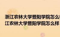 浙江农林大学暨阳学院怎么样好不好（2024年06月11日浙江农林大学暨阳学院怎么样）