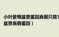 小叶紫檀盆景鉴别真假只需3秒（2024年06月11日小叶紫檀盆景真假鉴别）