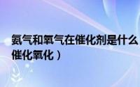 氨气和氧气在催化剂是什么（2024年06月11日氨气和氧气催化氧化）