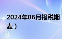 2024年06月报税期（2024年06月12日电流麦）