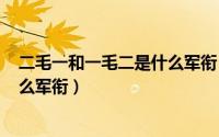 二毛一和一毛二是什么军衔（2024年06月12日一毛二是什么军衔）