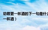 劝君更一杯酒的下一句是什么?（2024年06月12日劝君更进一杯酒）