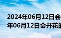 2024年06月12日会开花的树有哪些（2024年06月12日会开花的树）