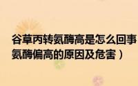 谷草丙转氨酶高是怎么回事（2024年06月12日谷草谷丙转氨酶偏高的原因及危害）