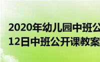 2020年幼儿园中班公开课教案（2024年06月12日中班公开课教案）