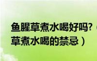 鱼腥草煮水喝好吗?（2024年06月12日鱼腥草煮水喝的禁忌）