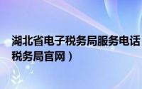 湖北省电子税务局服务电话（2024年06月13日湖北省电子税务局官网）