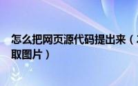 怎么把网页源代码提出来（2024年06月13日网页源代码提取图片）