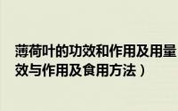 薄荷叶的功效和作用及用量（2024年06月13日薄荷叶的功效与作用及食用方法）