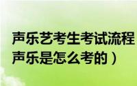 声乐艺考生考试流程（2024年06月13日艺考声乐是怎么考的）