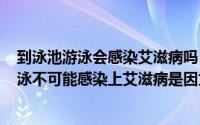 到泳池游泳会感染艾滋病吗（2024年06月14日在游泳池游泳不可能感染上艾滋病是因为）