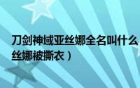 刀剑神域亚丝娜全名叫什么（2024年06月14日刀剑神域亚丝娜被撕衣）